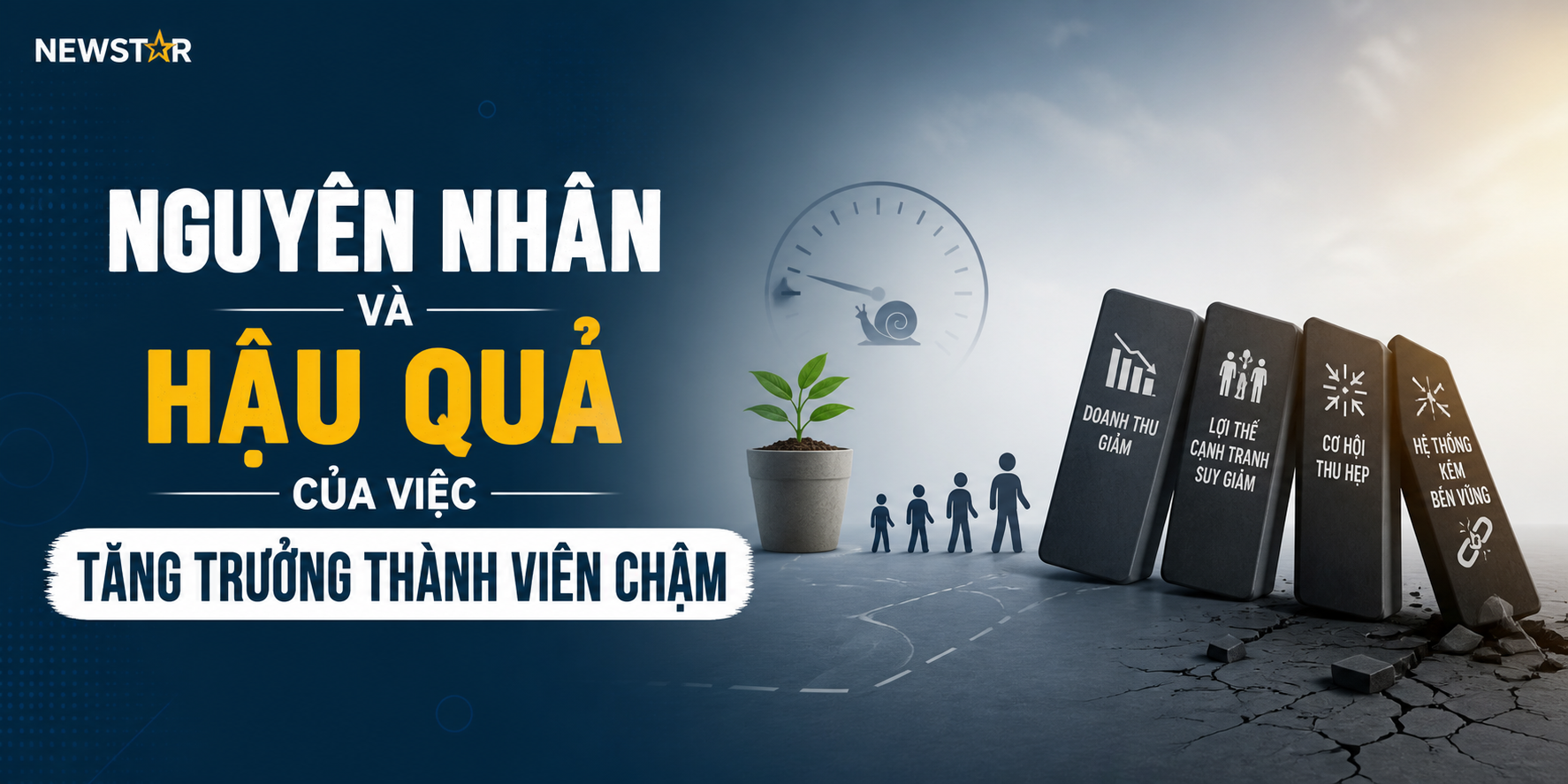 Nguyên Nhân Và Hậu Quả Của Việc Tăng Trưởng Thành Viên Chậm
